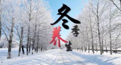 冬季养生先养肾，养生汤包助你食疗补肾温暖一