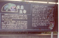 质量不是惊人之举 却是最长情告白 扬子江药业集